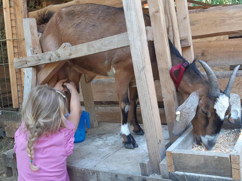 Hotel Jurta az erdő mellett dézsával-KERESZ-TANYA Pilisszentkereszt Esterno foto